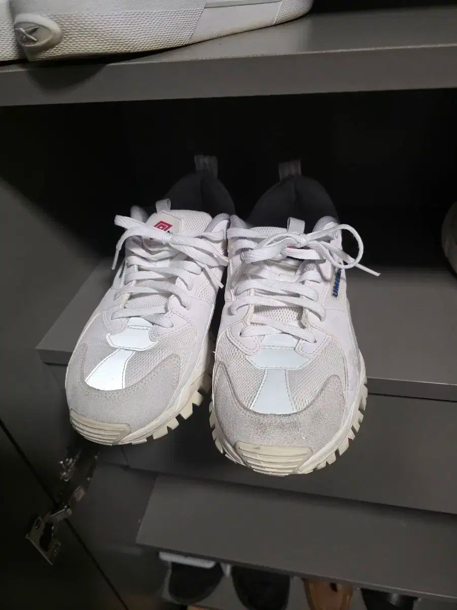 アンブロ バンピー スニーカー 260