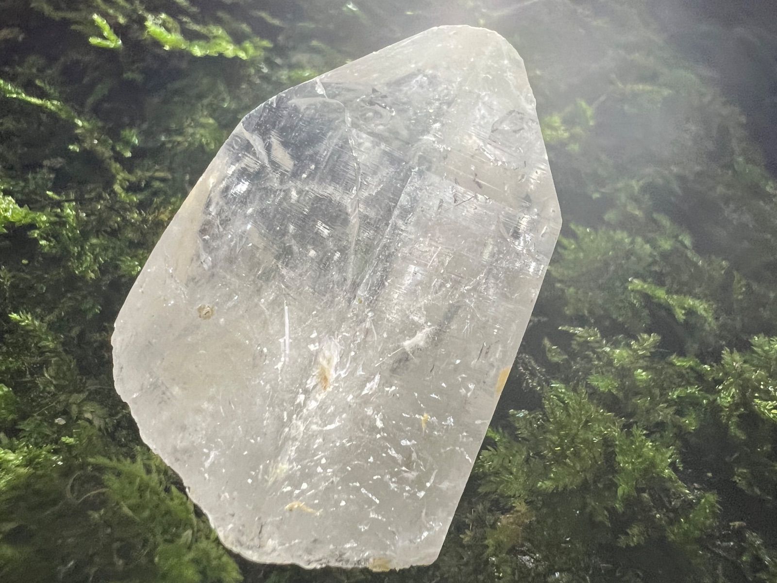 龍脈の精髄 ― 水晶 「純白の守護と浄化の光」 宮崎県産 保護