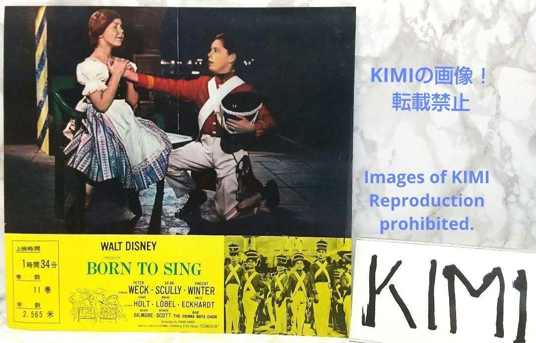 レア 映画パンフレット 青きドナウ 1962年 昭和37年 レア 映画パンフレット 青きドナウ 1962年 昭和37年 | ホビー