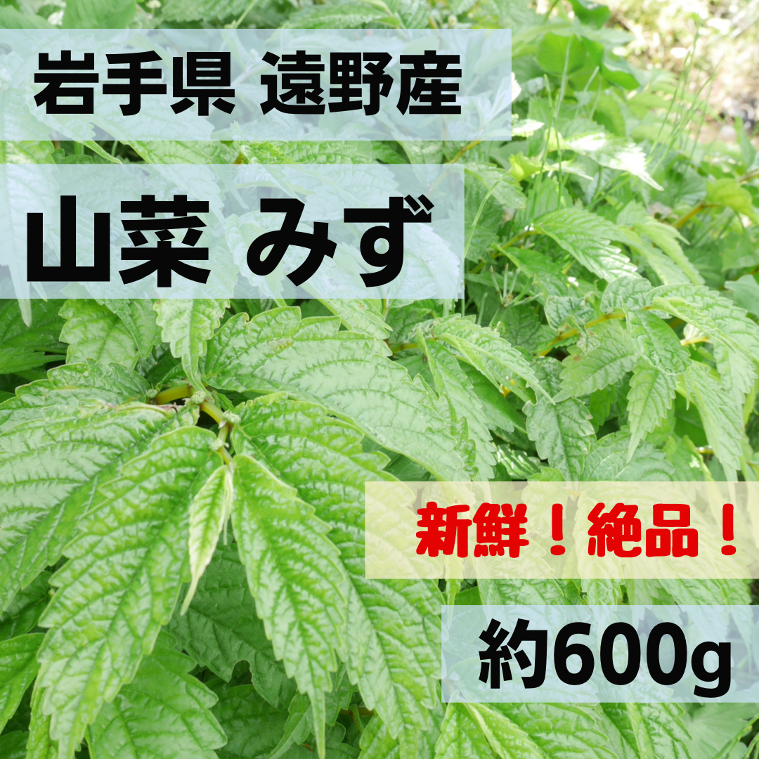 山菜みず 赤みず ミズ 約600g《無農薬・無肥料》 - メルカリShops