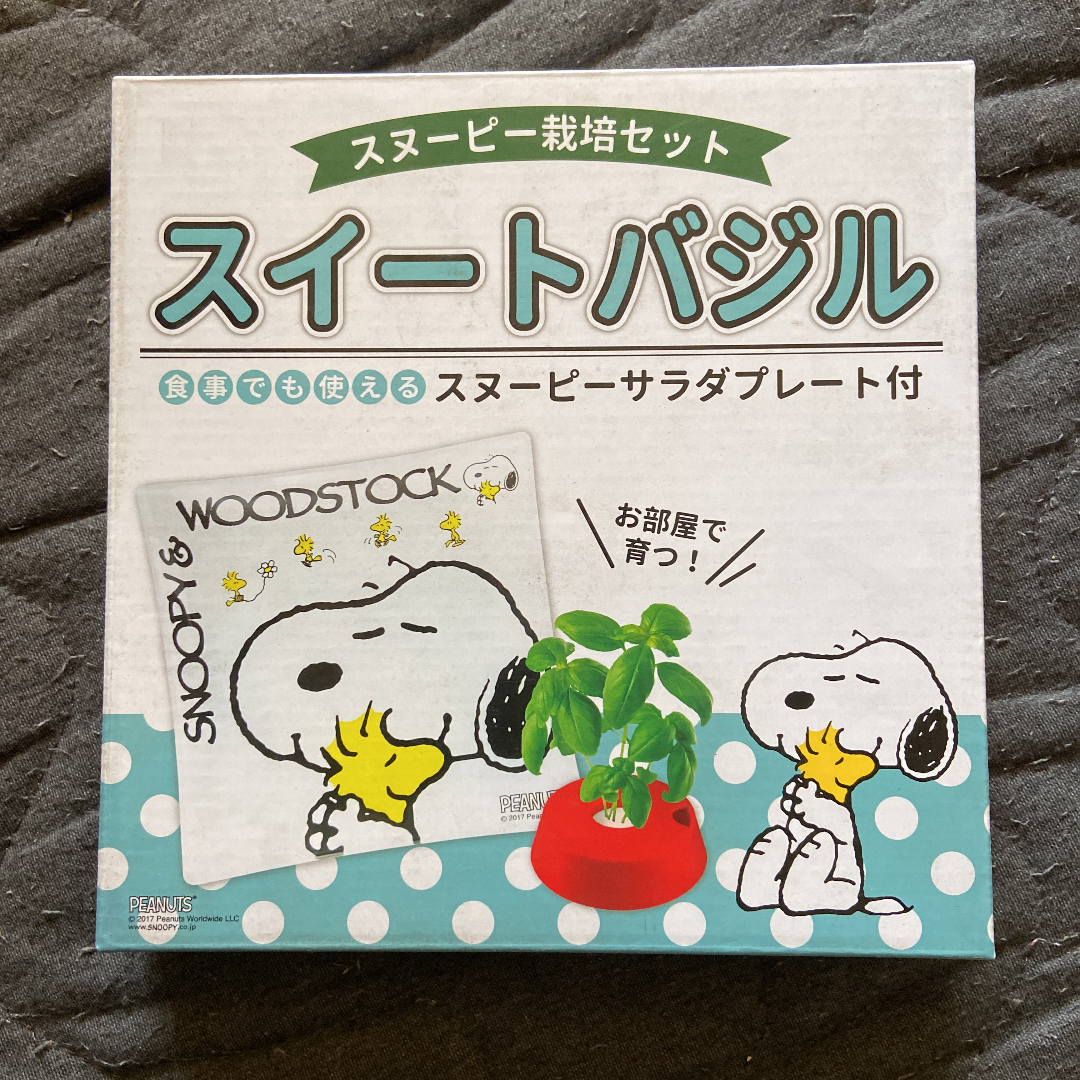 ハイクオリティモデル - ミスド×SNOOPY ガラスプレート - 非対面販売