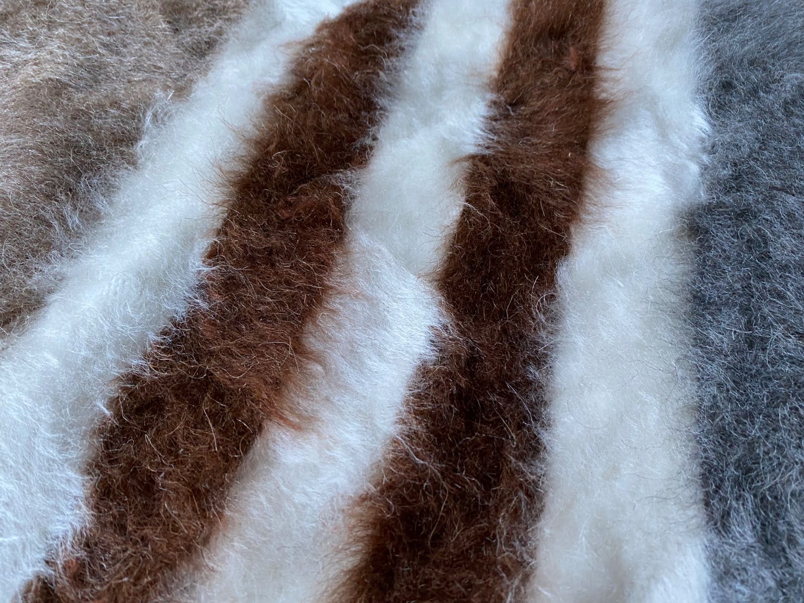 現地より卸売販売当店のみのサイズとお値段