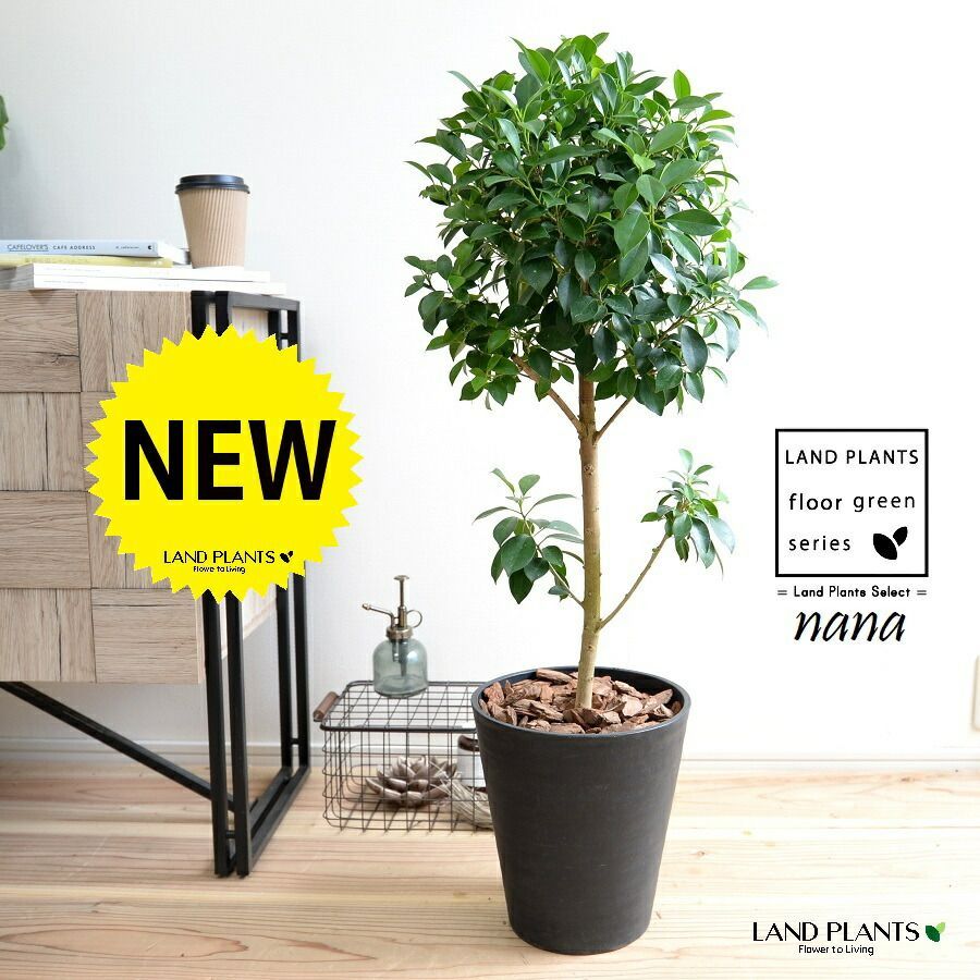 光触媒 人工観葉植物 ウォールグリーン フェイクグリーン