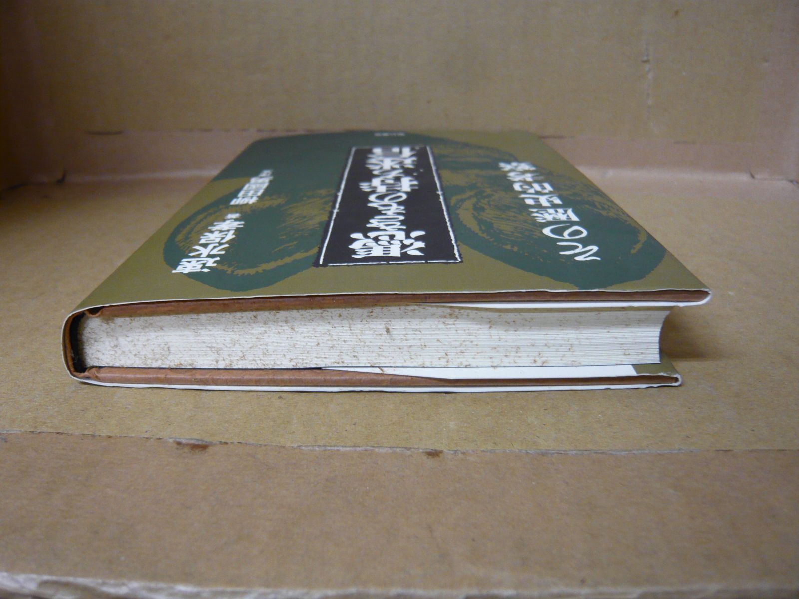 【中古】 憑きもの持ち迷信 その歴史的考察/明石書店/速水保孝 51S0J1E25QL._AC_SY200_QL15_.jpg