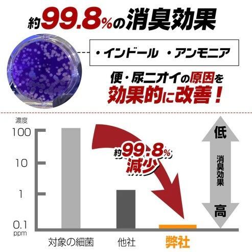 10セット