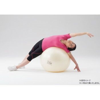 DANNO ダンノ フィットボール65 D5921