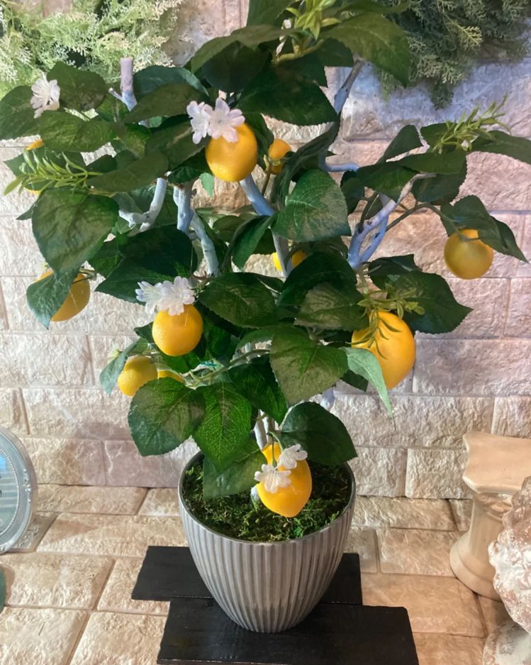 光触媒　人工観葉植物　ウォールグリーン　フェイクグリーン　レモン1.25m 光触媒 人工観葉植物 ウォールグリーン フェイクグリーン レモンの木