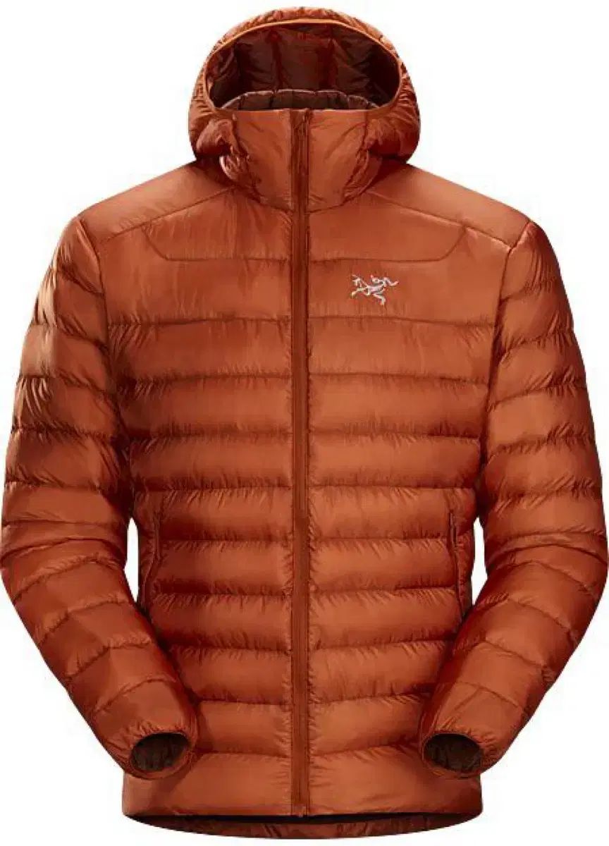 2XL ARC TERYX Cerium アークテリクス セリウム LT 木漏れ日 ブラウン フーディー ジャケット | 軽量ダウン | Atom ベータ