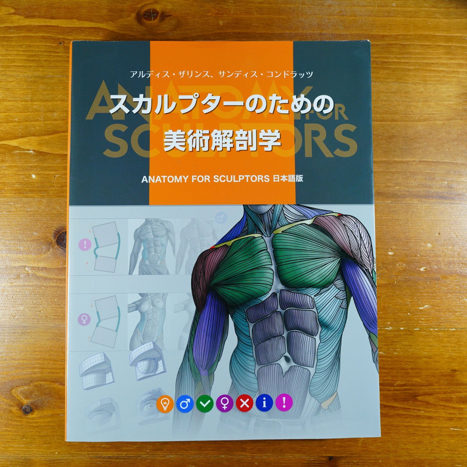 スカルプターのための美術解剖学 -Anatomy For Sculptors日本語版 