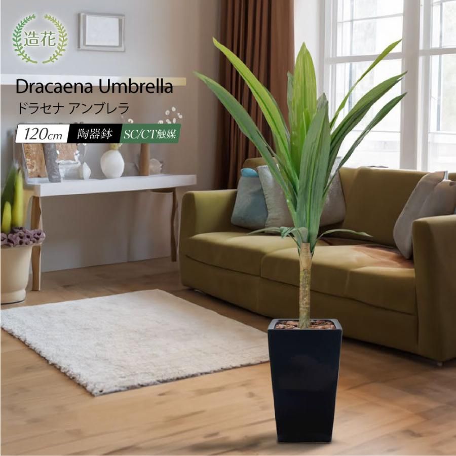 光の楽園 光触媒 人工観葉植物 ウォールグリーン フェイクグリーン