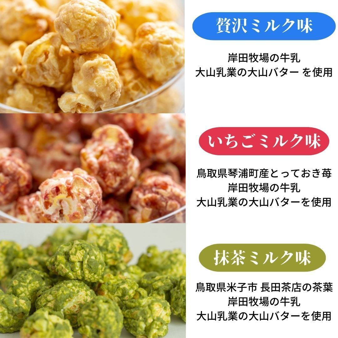 ポップコーン フレーバー 国産 無添加 スイーツ ギフト 御中元 御歳暮 お返し 御礼 お祝い プレゼント 手土産 差し入れ おしゃれ 高級 お菓子 食べ比べ 11種類