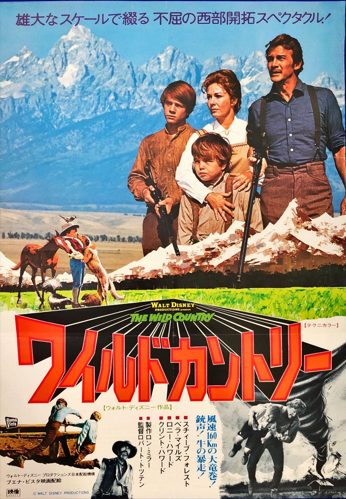 L『ワイルドカントリー』映画オリジナルB2判ポスター ld07907 - メルカリ