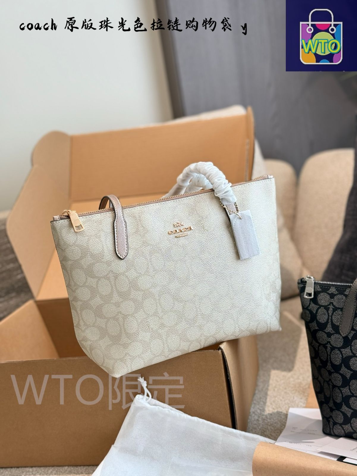 今日特価】COACH コーチ フィオナジップトート メタリック