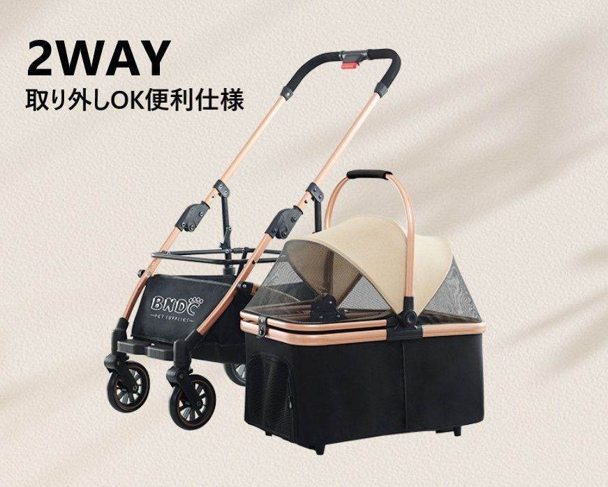 赤 レッド