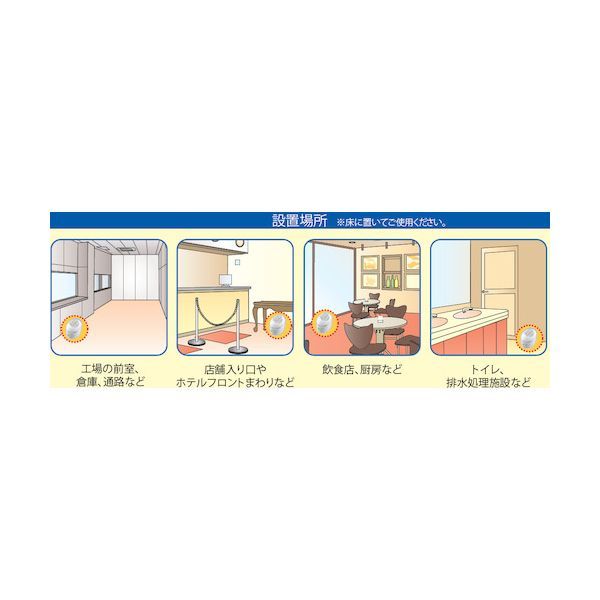 7営業日以内発送 アース