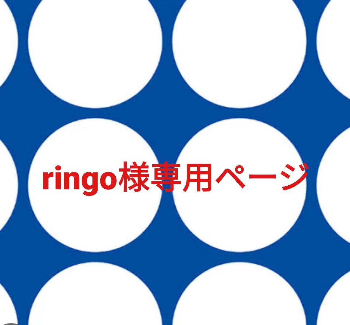 ringo様専用ページ タルトタタンとアップルパイの通販｜青森