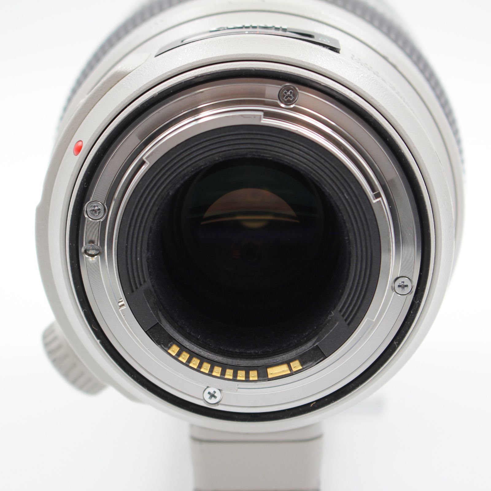 ■良品■CANON EF100-400mm F4.5-5.6L IS II USM 望遠ズームレンズ EF100-400LIS2 キヤノン