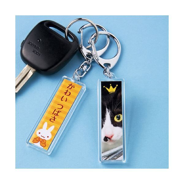 まとめ サンワサプライ 手作りキーホルダーキット スティック型 JP-ST15 ×5セット