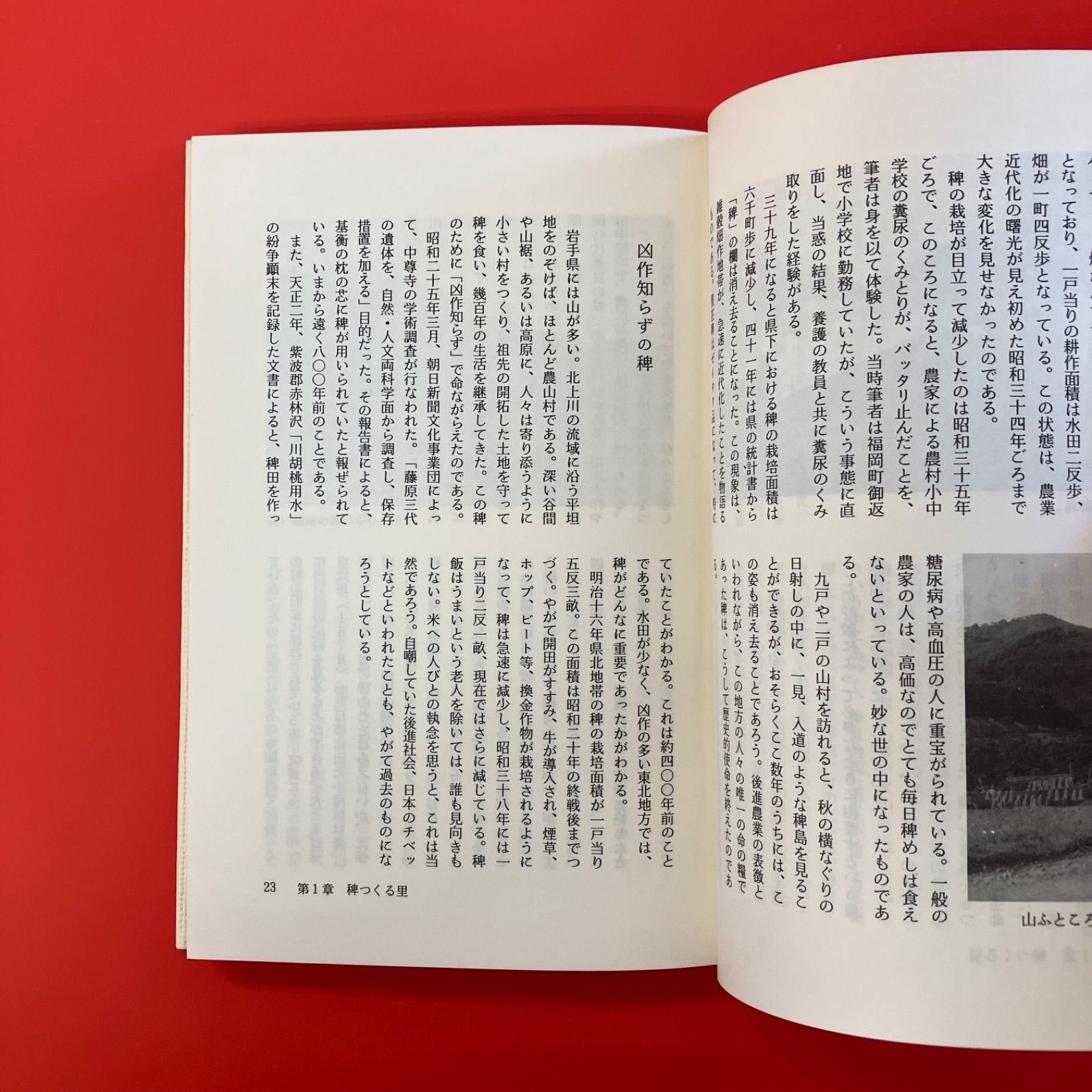 稗と麻の哀史 (郷土の研究) 稗と麻の哀史 郷土の研究 ym_a1_4052 - メルカリ