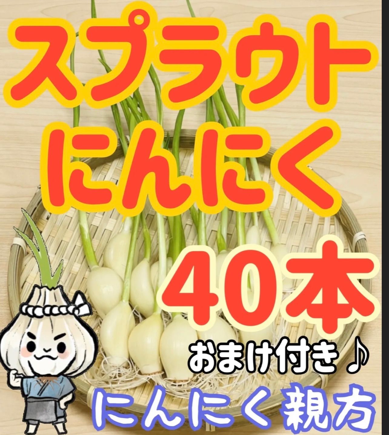 スプラウトにんにく 驚きの栄養価 発芽にんにく 35本 にんにく親方 - 野菜