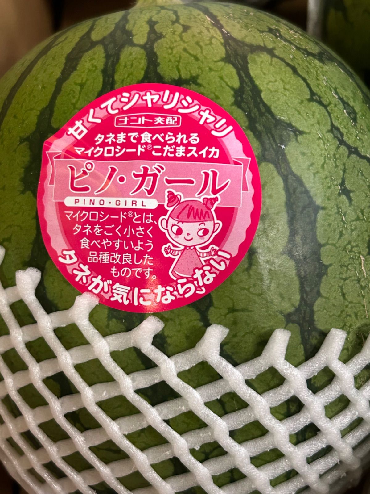 鹿児島県産 スイカ ピノガール 6〜7玉クラス 箱込9キロ