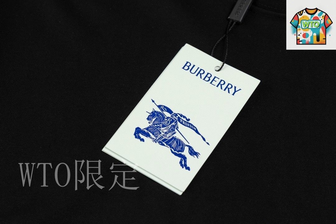 Burberry♡馬ロゴ刺繍 ホワイト♡シンプルTシャツ Burberry♡馬ロゴ刺繍 ホワイト♡シンプルTシャツ バーバリー