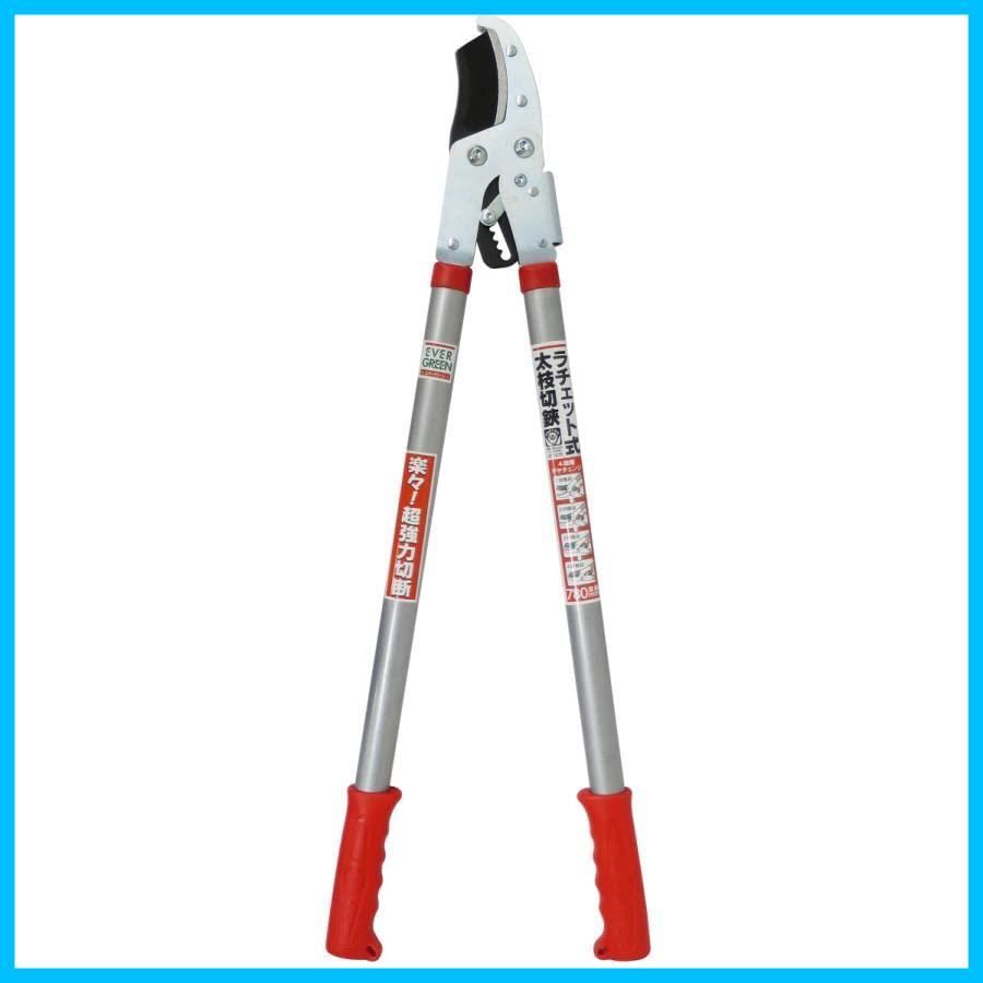 【特価セール】50mm 5cm 太枝切り鋏 えだ ラチェット式太枝切鋏 枝 はさみ ハサミ 園芸 ガーデニング 農業 庭 農作業 家庭菜園 大進 用具 工具 高枝切りバサミ 軽量 剪定 庭木 生垣 枝切りばさみ