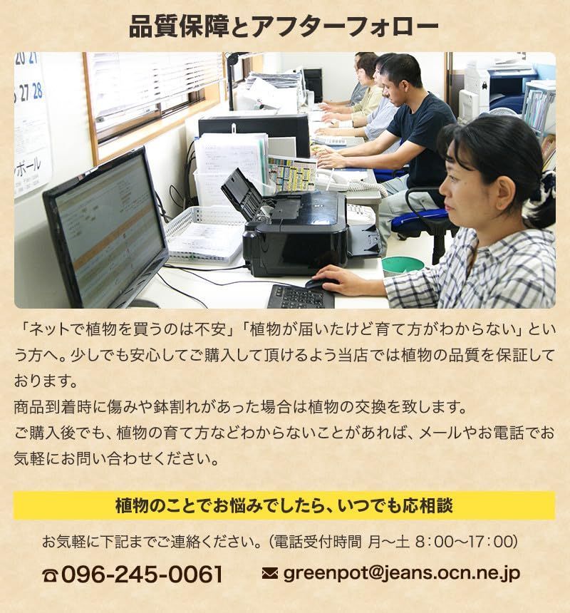 お中元