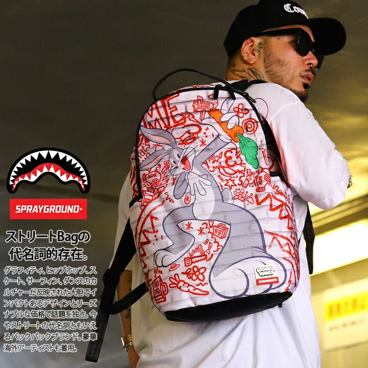 はんはんさん用 MG トールギスF 完成品 オリジナルカラー~Ver堕天使~ ゼクス ガンダム