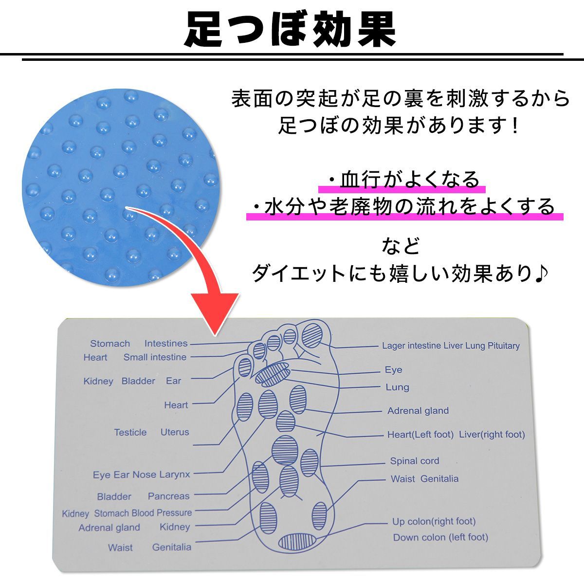 KaRaDaStyle ツイスト スピンボード スピントレーナー 回転 バランス 体幹 運動