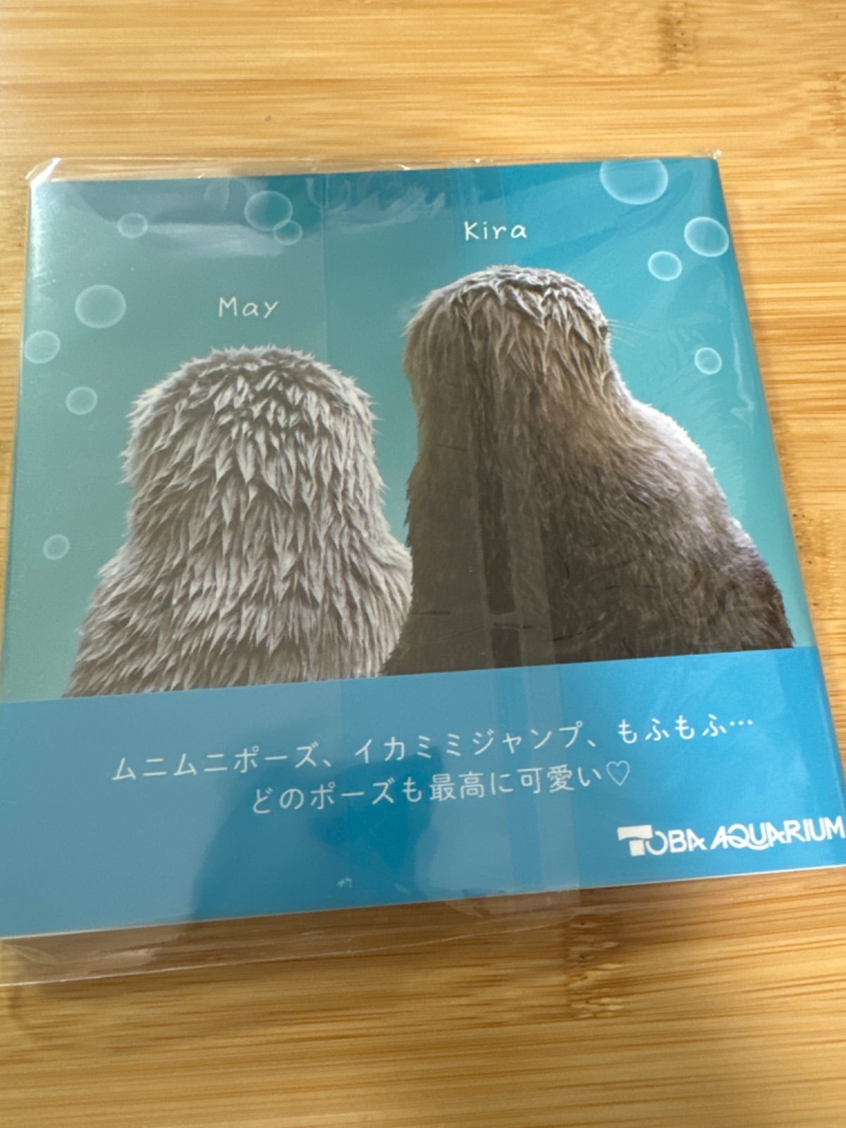 お宝★ラッコメモリアルBOOK★ 61gy4-w2NOL._UF894,1000_QL80_.jpg