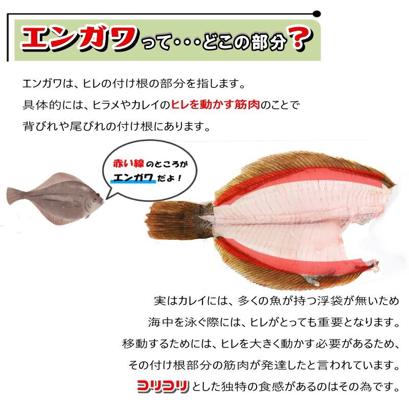 エンガワ 1kg 刺身用 アブラカレイ エンガワ 大容量 業務用 アメリカ【あぶら かれい カレイ 鰈 えんがわ エンガワ 縁側 寿司ネタ】・ アブラカレイエンガワ1kg・ - メルカリ