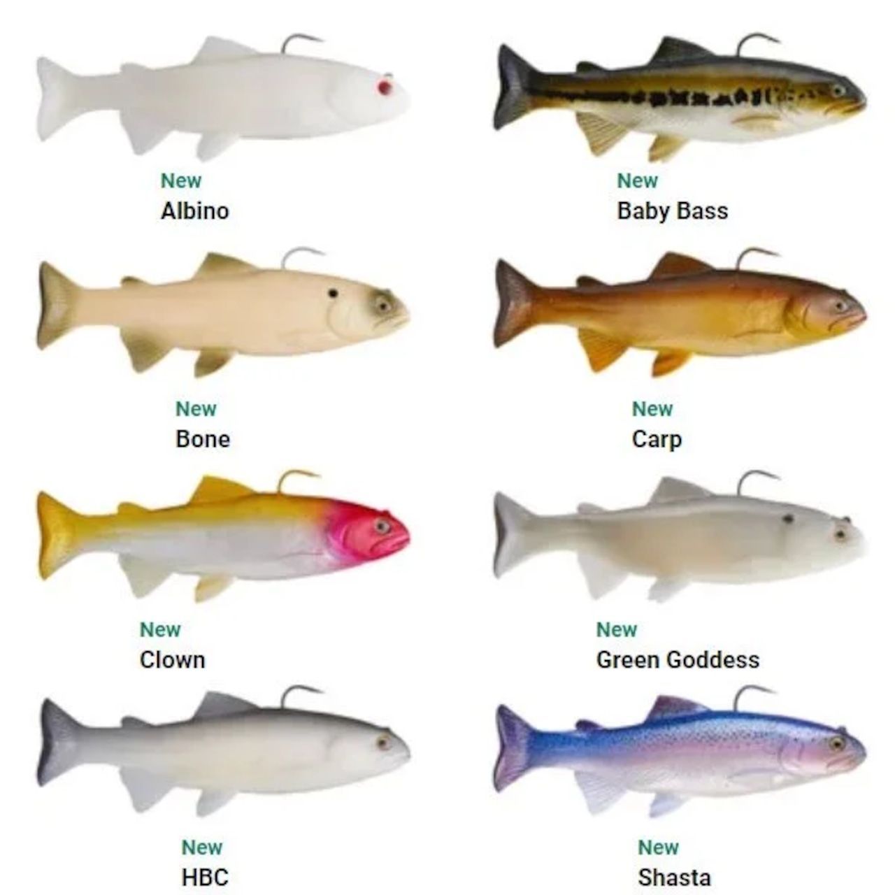 ハドルストン/ハドルトラウト 8