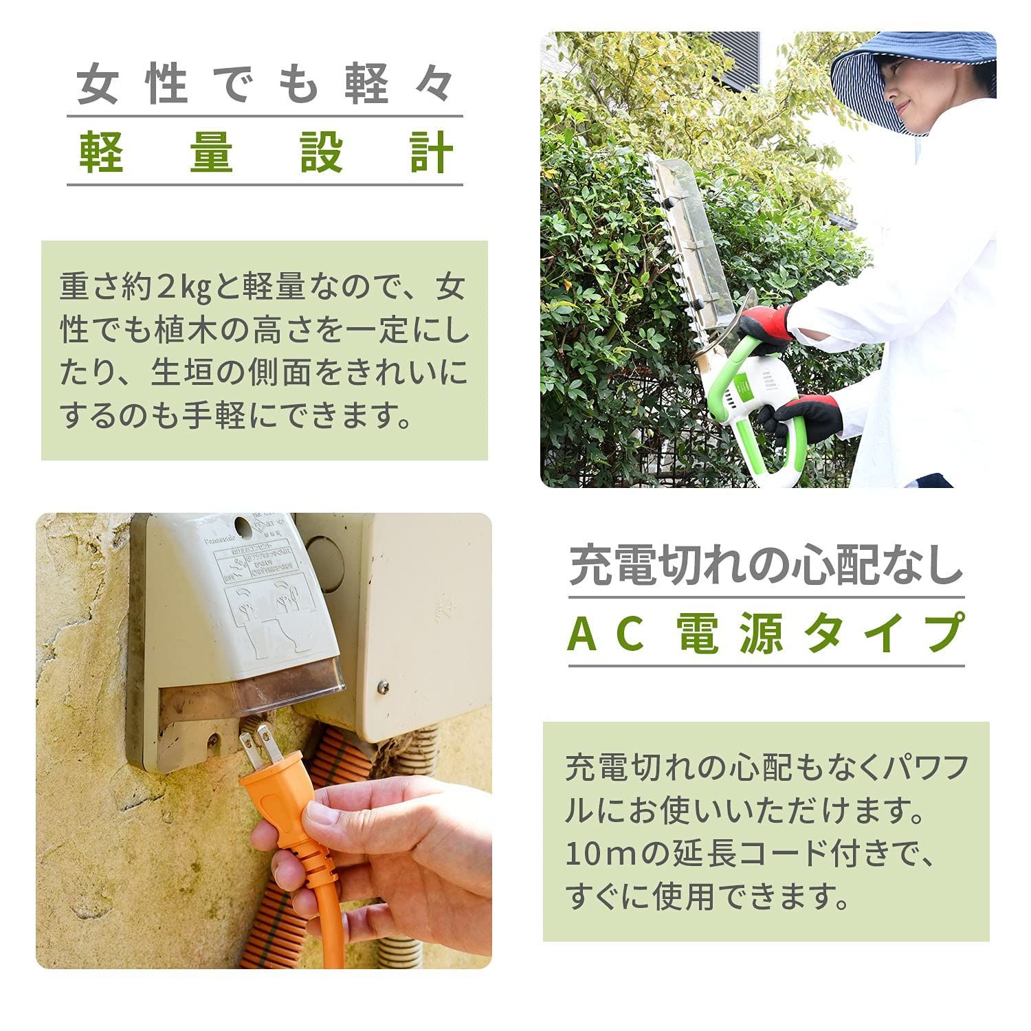 庭木