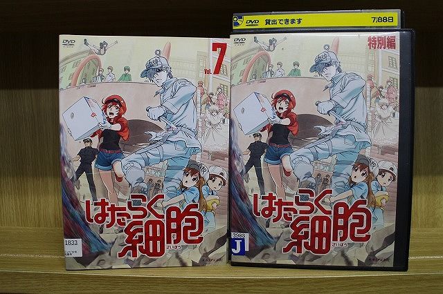 DVD はたらく細胞 全7巻 + 特別編 計8本set ※ケース無し発送 レンタル落ち ZT2627 - メルカリ