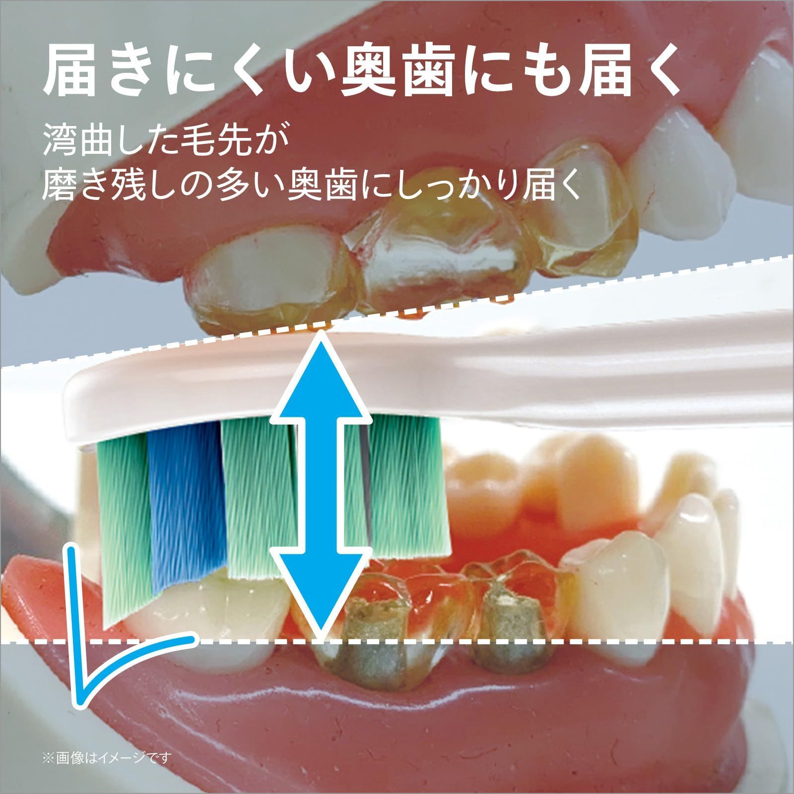 5本