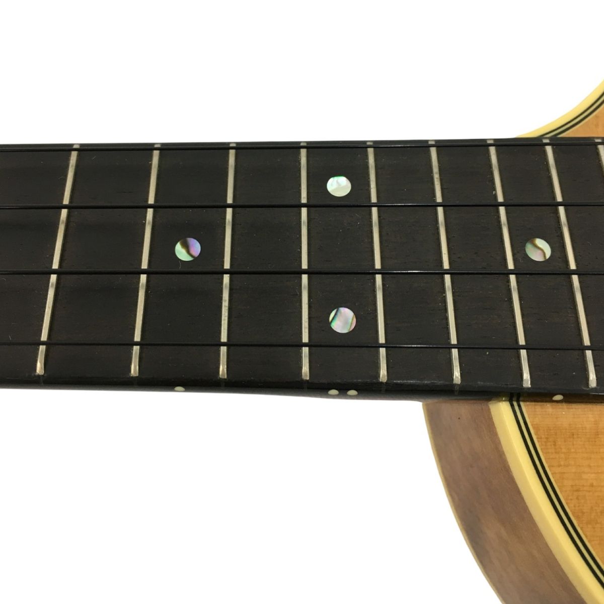 ケース付き 楽器