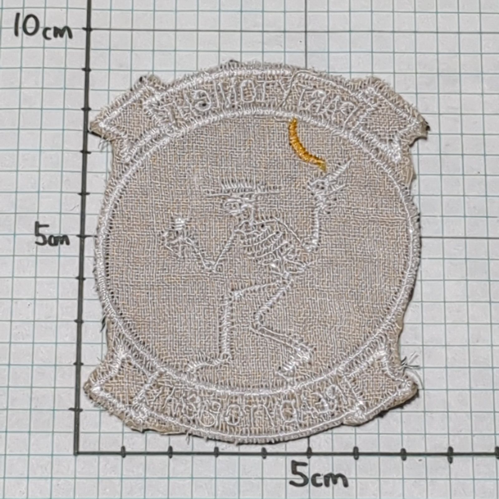 DC73 スカル ドクロ 骸骨 ベトナム 戦争 ワッペン 死神 PARTY TONIGHT