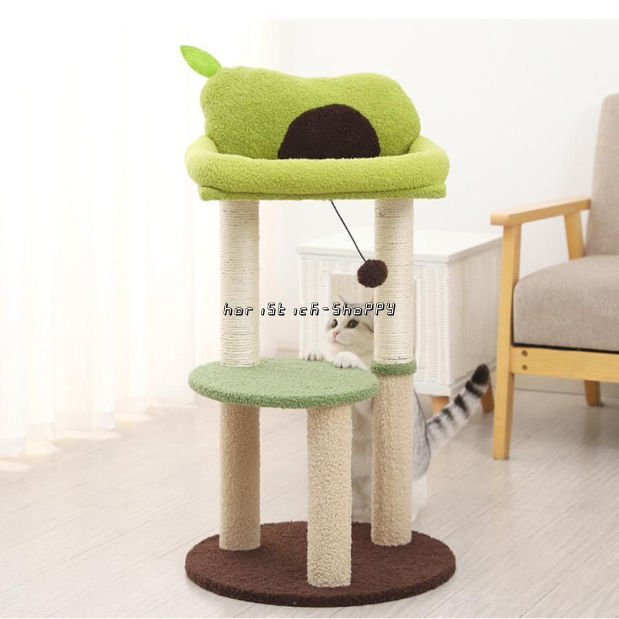 ペット 子猫