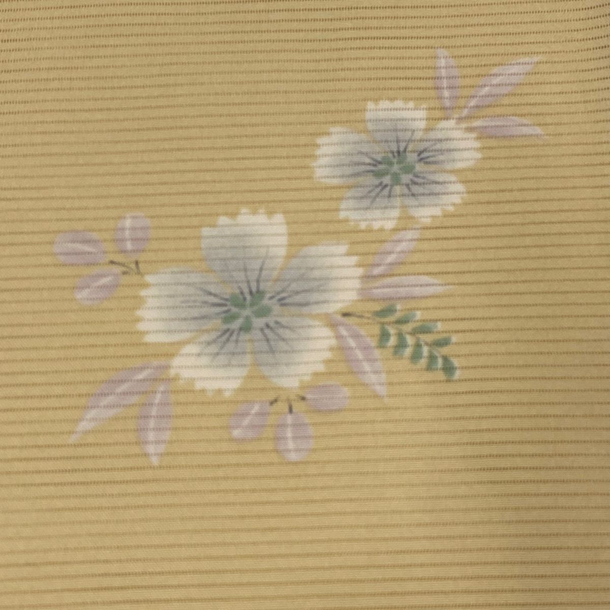 裄丈66.5cm
