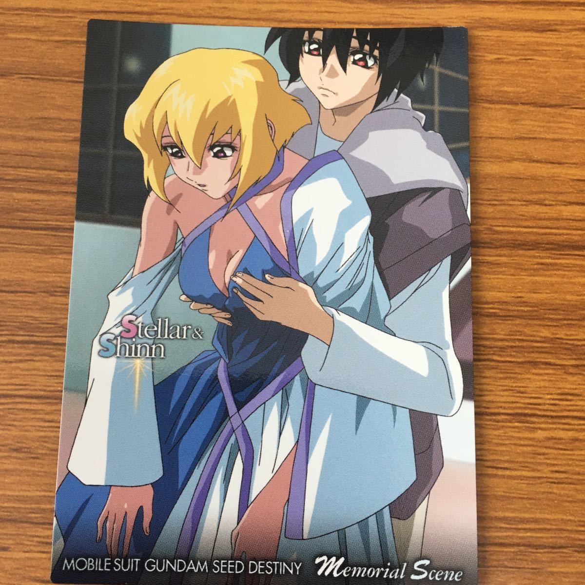 矢 83 カード ダス マスター ズ カード ガンダム SEED Destiny