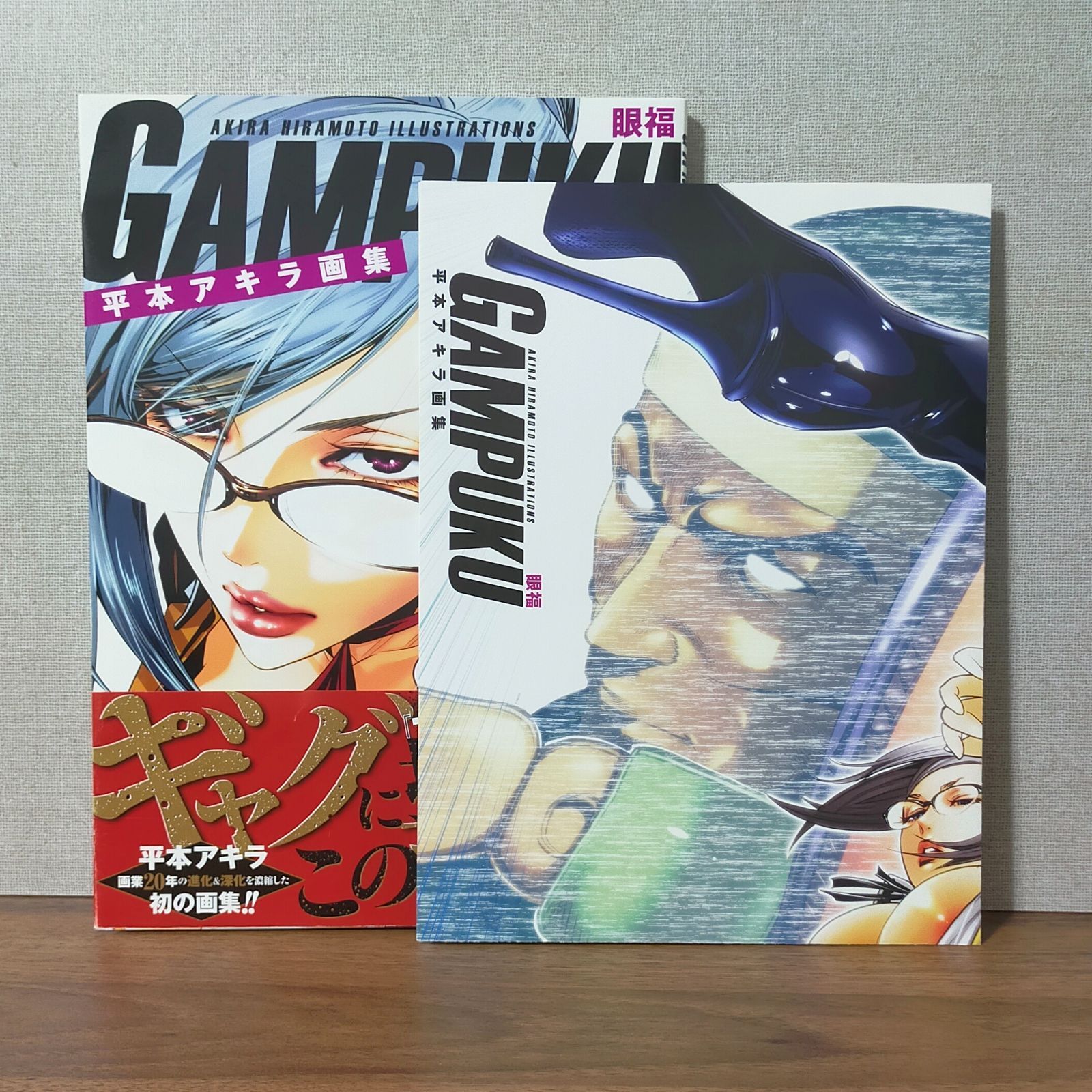 平本アキラ画集 GAMPUKU 眼福 - メルカリ