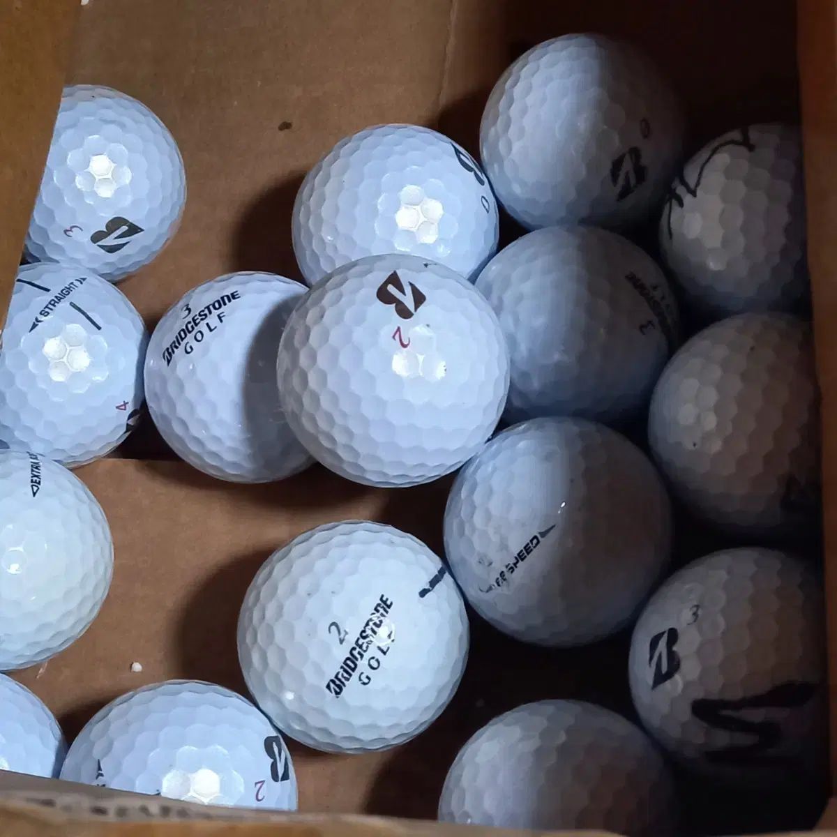 ブリヂストン Bridgestone ゴルフボール 50 犬