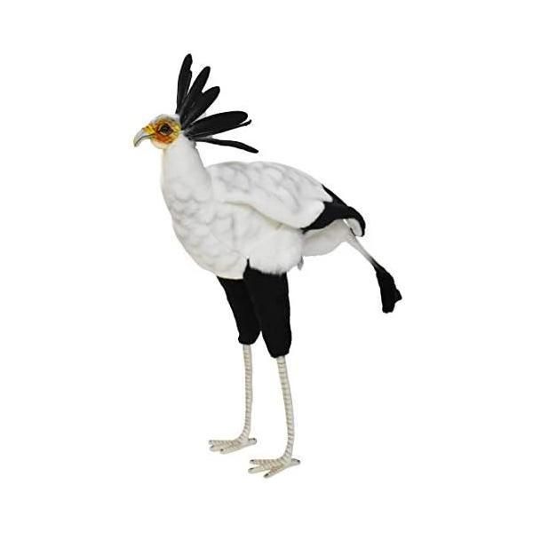 高品質　ムナジロガラス　全身剥製 高品質 ムナジロガラス 全身剥製