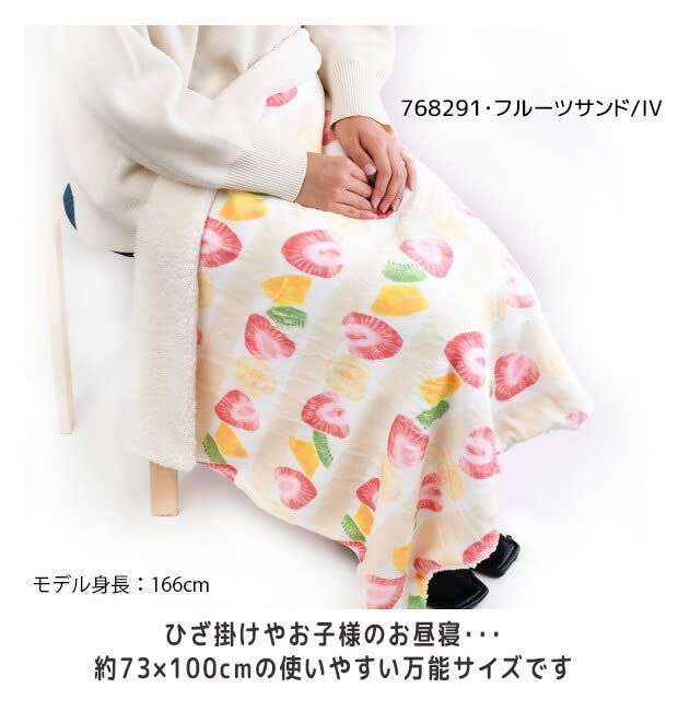 DENSO デンソー トラック用充電式電気敷毛布 しきぬっく2 未使用品