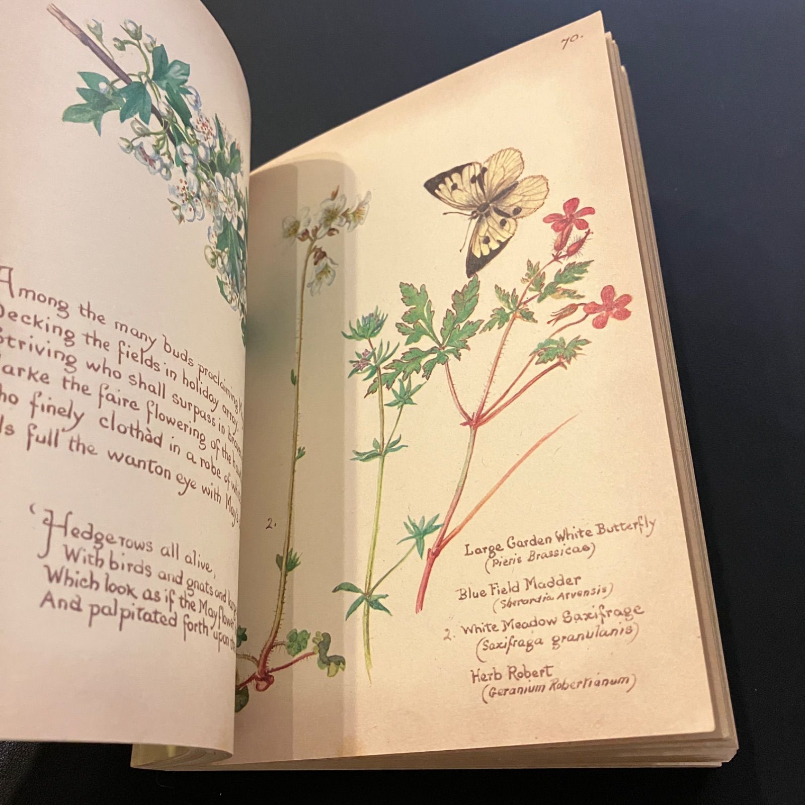 19世紀田舎暮らしの女性の絵日記　The Country Diary of an edwardian Lady