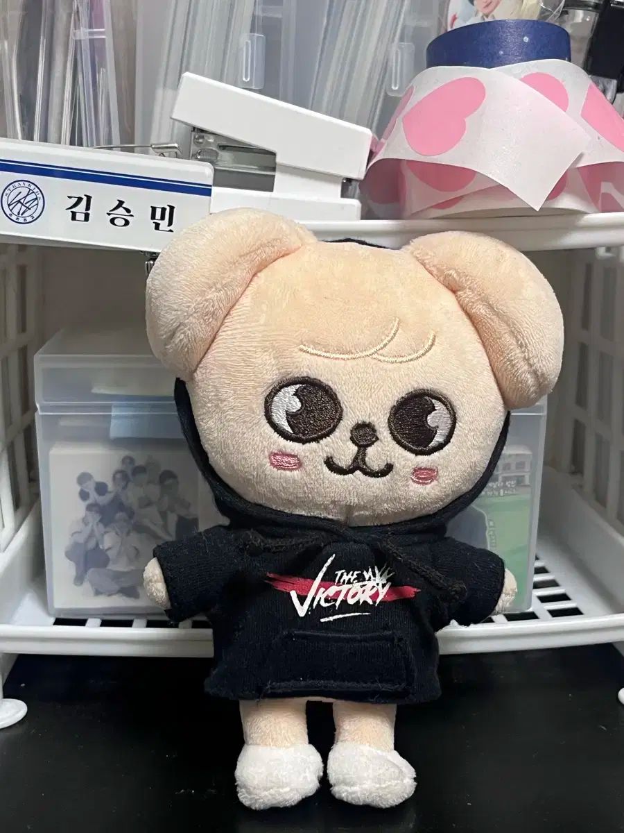 Stray Kids(ストレイキッズ・スキズ・SKZ) スンミン(SEUNGMIN) PuppyM