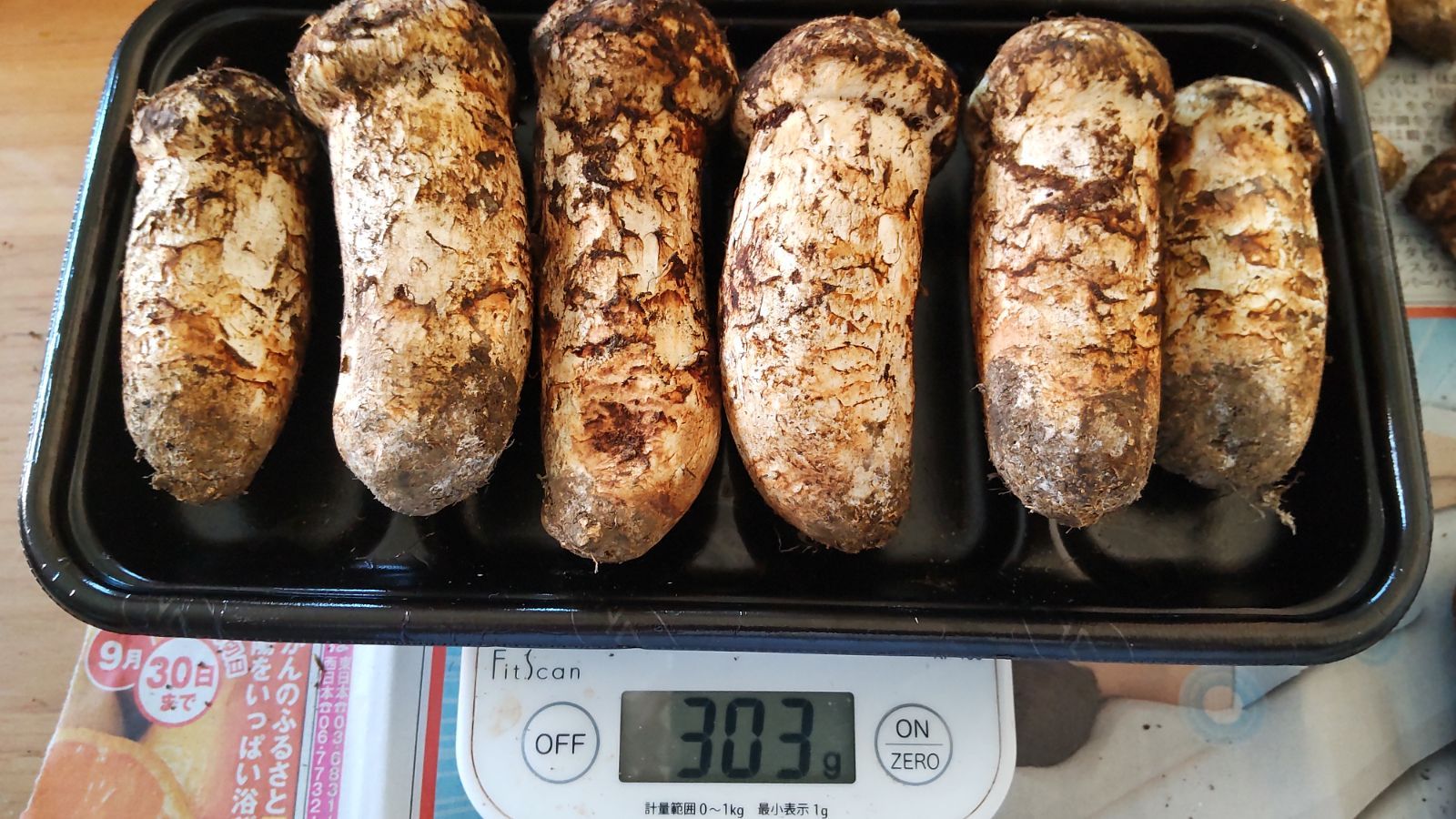 岩手県産 松茸 9月24日収穫分 クール便 ❶