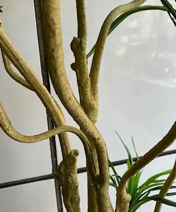 光触媒 人工観葉植物 ウォールグリーン フェイクグリーン ユッカツリー