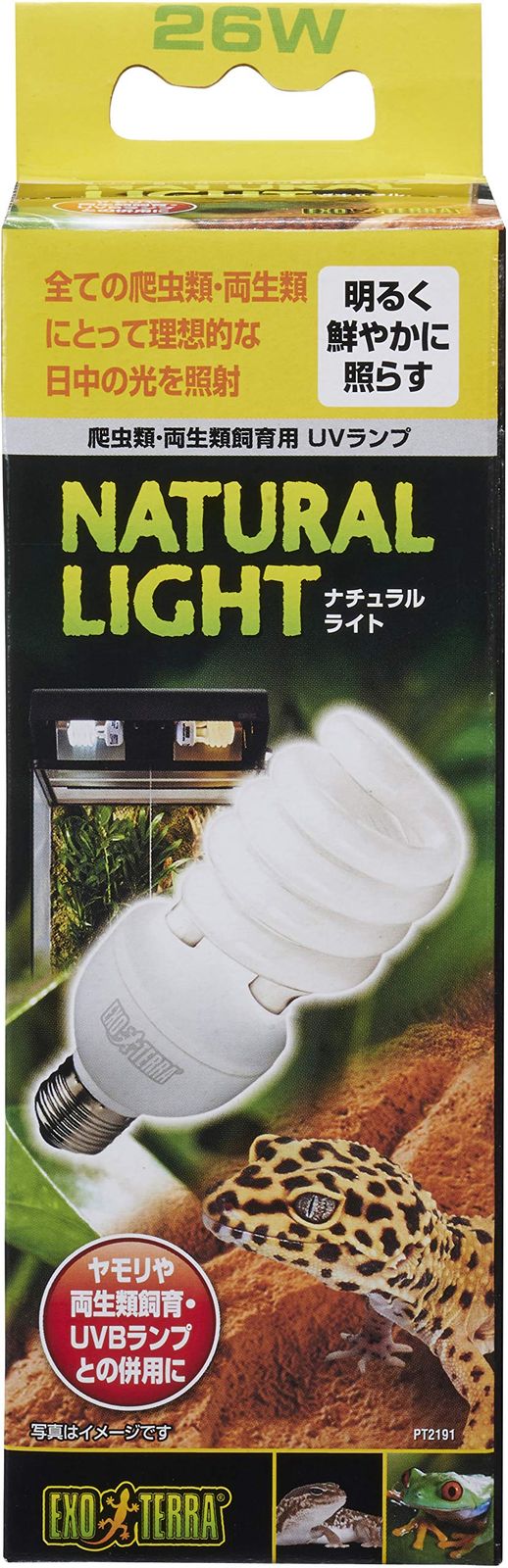 鑑別済 モルダバイト 原石 meteorite129